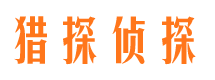 平原侦探公司